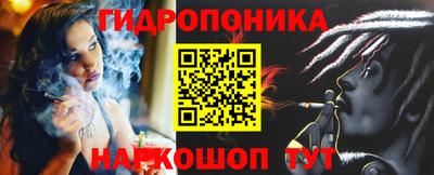 кокс Гай