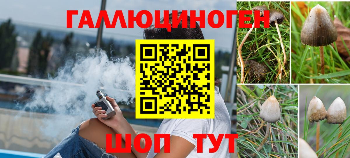 Галлюциногенные грибы Psilocybe Губаха