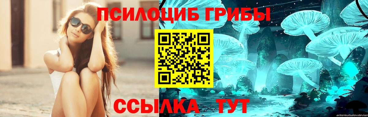 Галлюциногенные грибы Cubensis  Псилоцибиновые грибы Psilocybe  Губаха  Вход с VPN 